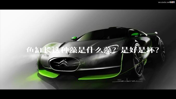 鱼缸长这种藻是什么藻？是好是坏？