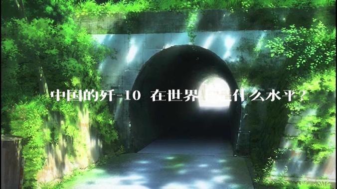 中国的歼-10 在世界上是什么水平？